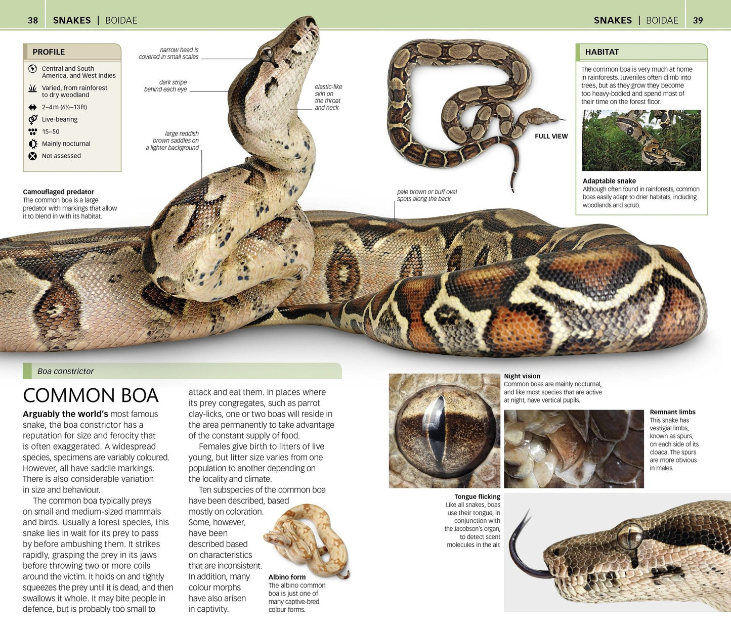 Nature Guide: Snakes and Other Reptiles and Amphibians