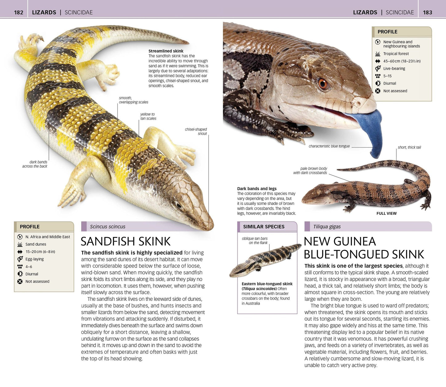 Nature Guide: Snakes and Other Reptiles and Amphibians