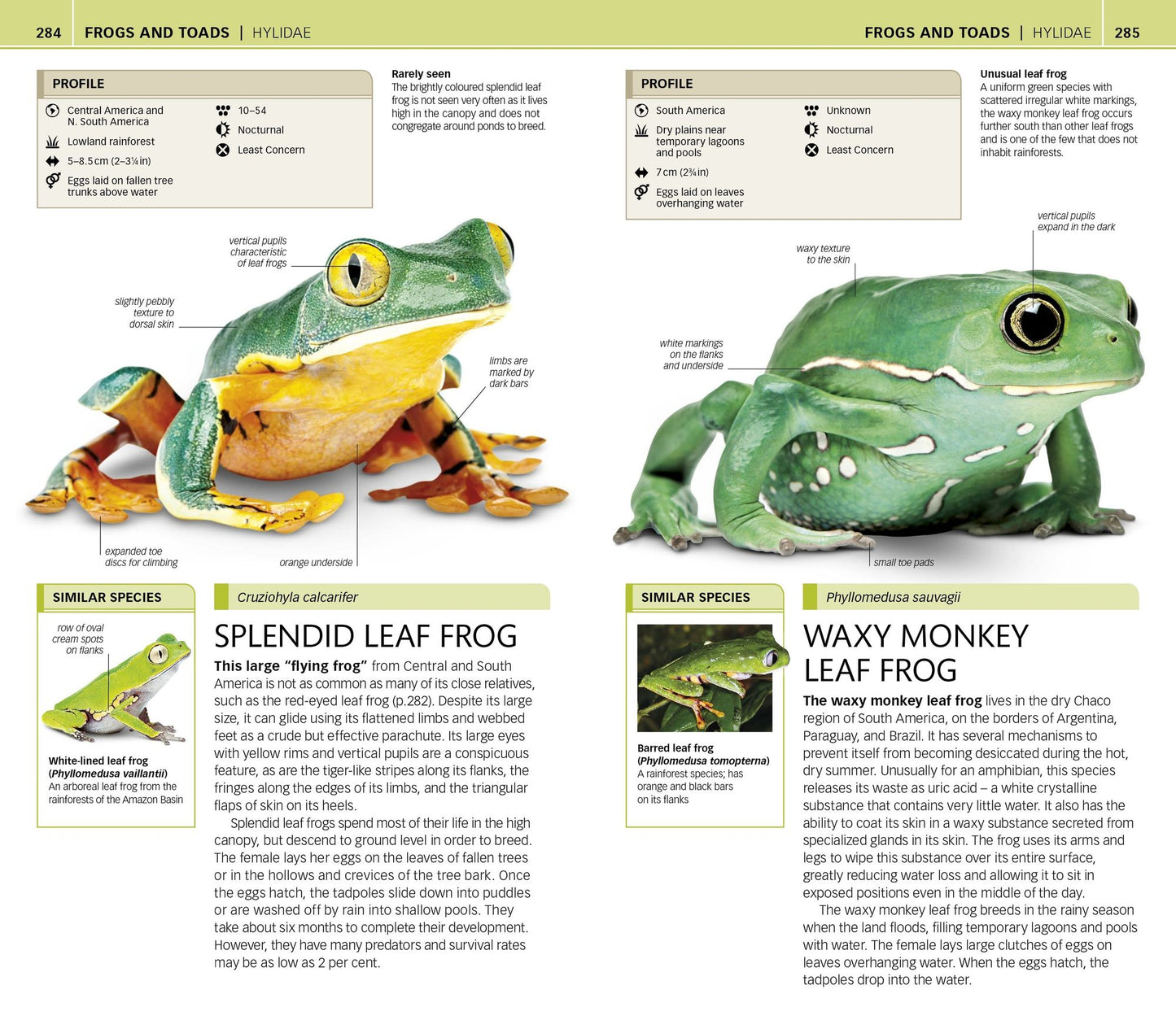 Nature Guide: Snakes and Other Reptiles and Amphibians