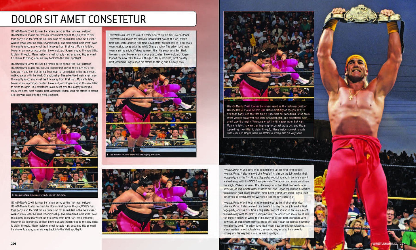 30 Years of WrestleMania