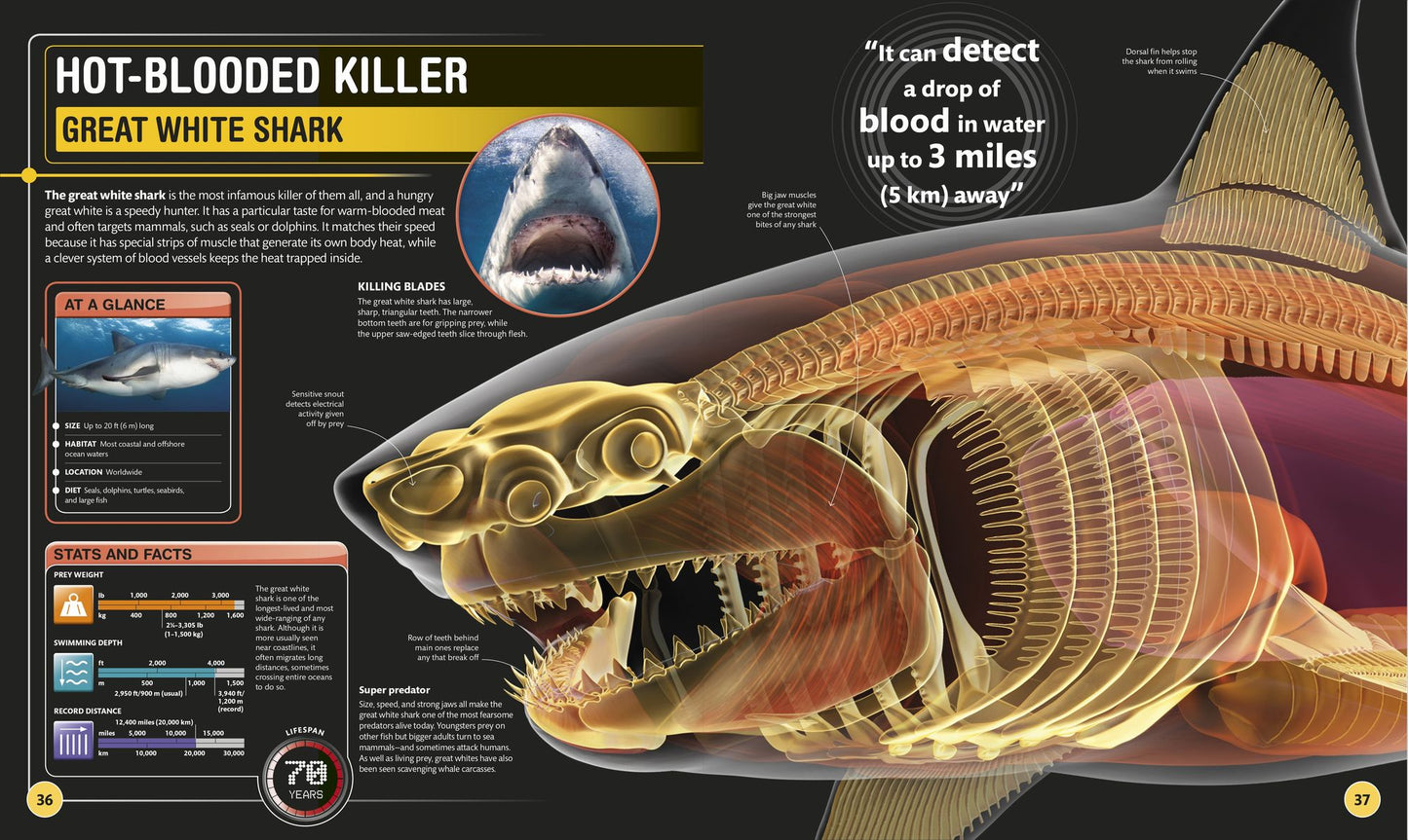 Super Shark Encyclopedia: And Other Creatures of the Deep
