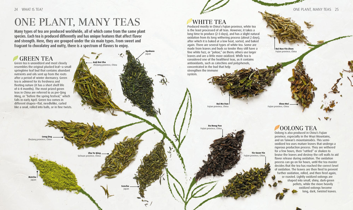 The Tea Book: Experience the World's Finest Teas, Qualities, Infusions, Rituals, Recipes