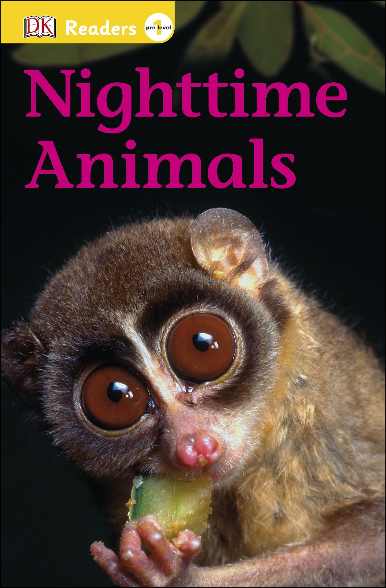 Nighttime Animals (DK Readers Pre-Level 1 Series)