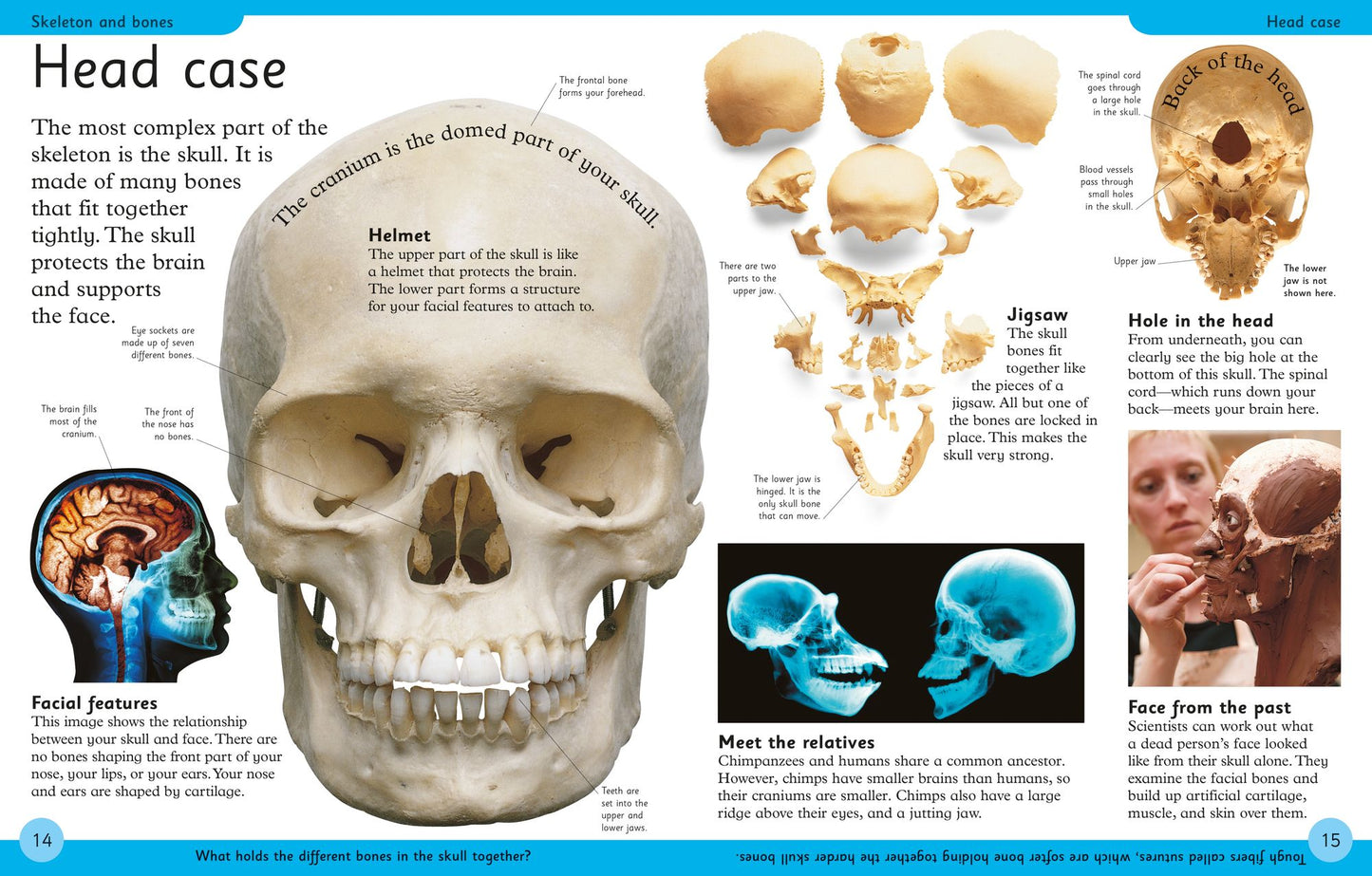 First Human Body Encyclopedia