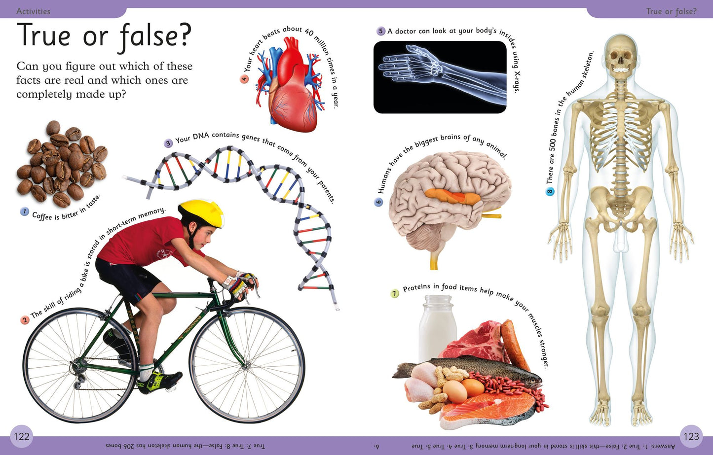 First Human Body Encyclopedia