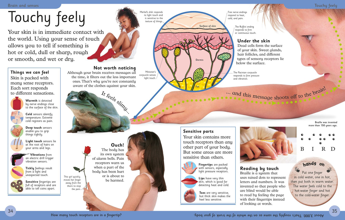 First Human Body Encyclopedia