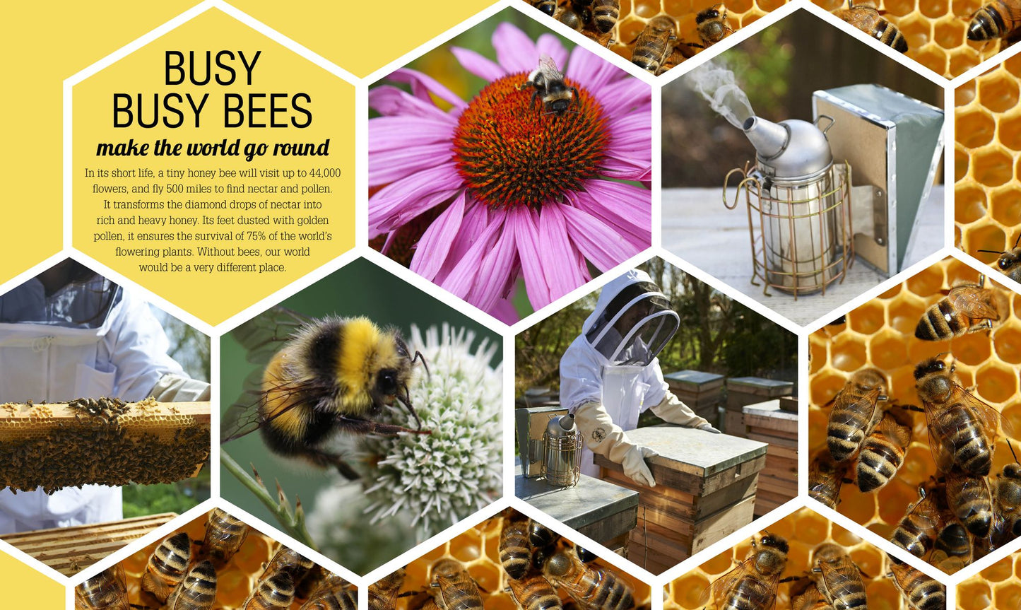 The Bee Book