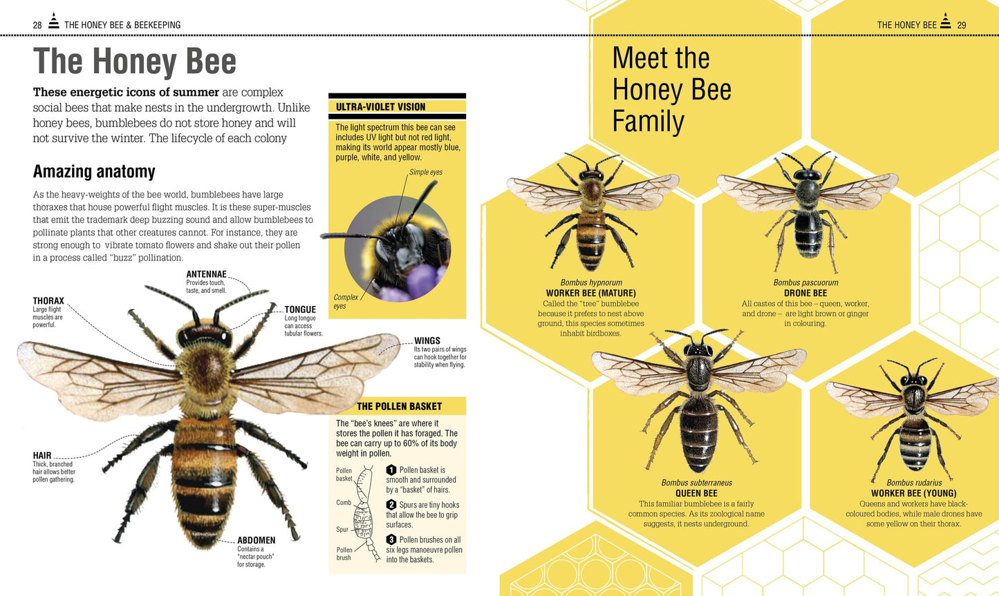 The Bee Book