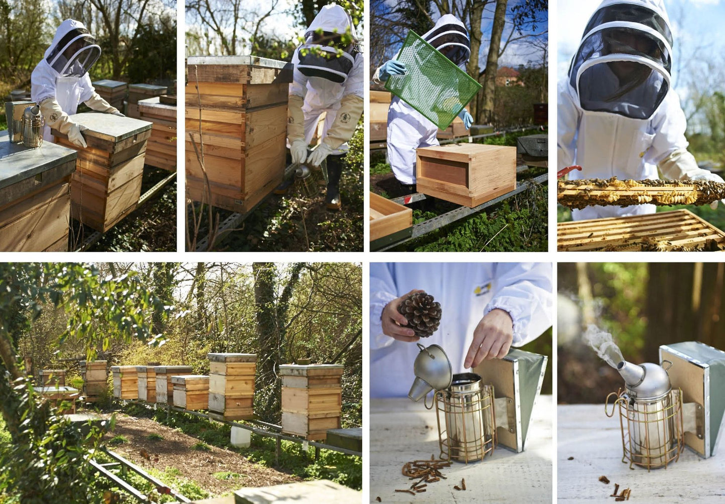 The Bee Book