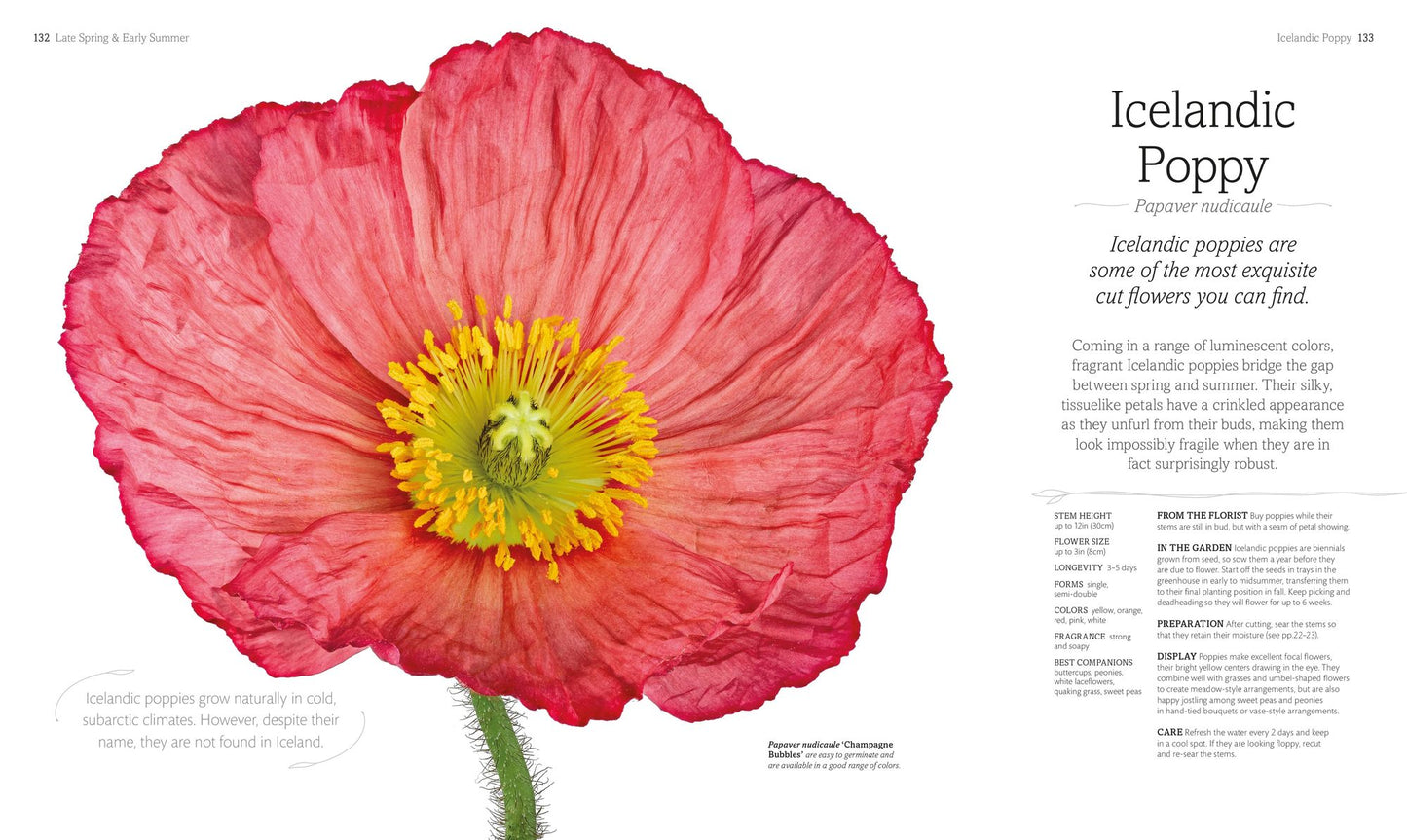 The Flower Book
