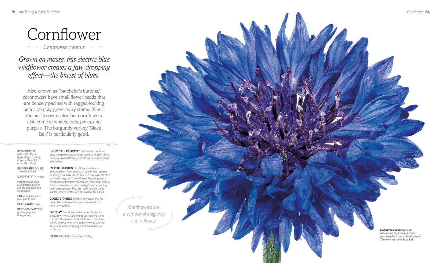 The Flower Book