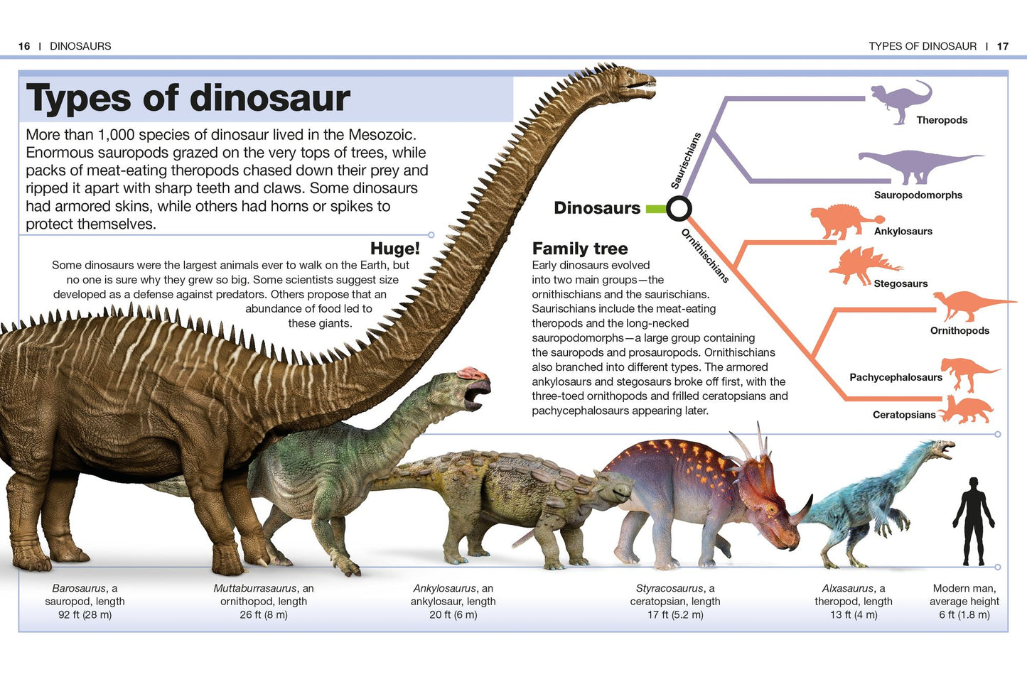 Pocket Genius: Dinosaurs: Facts at Your Fingertips