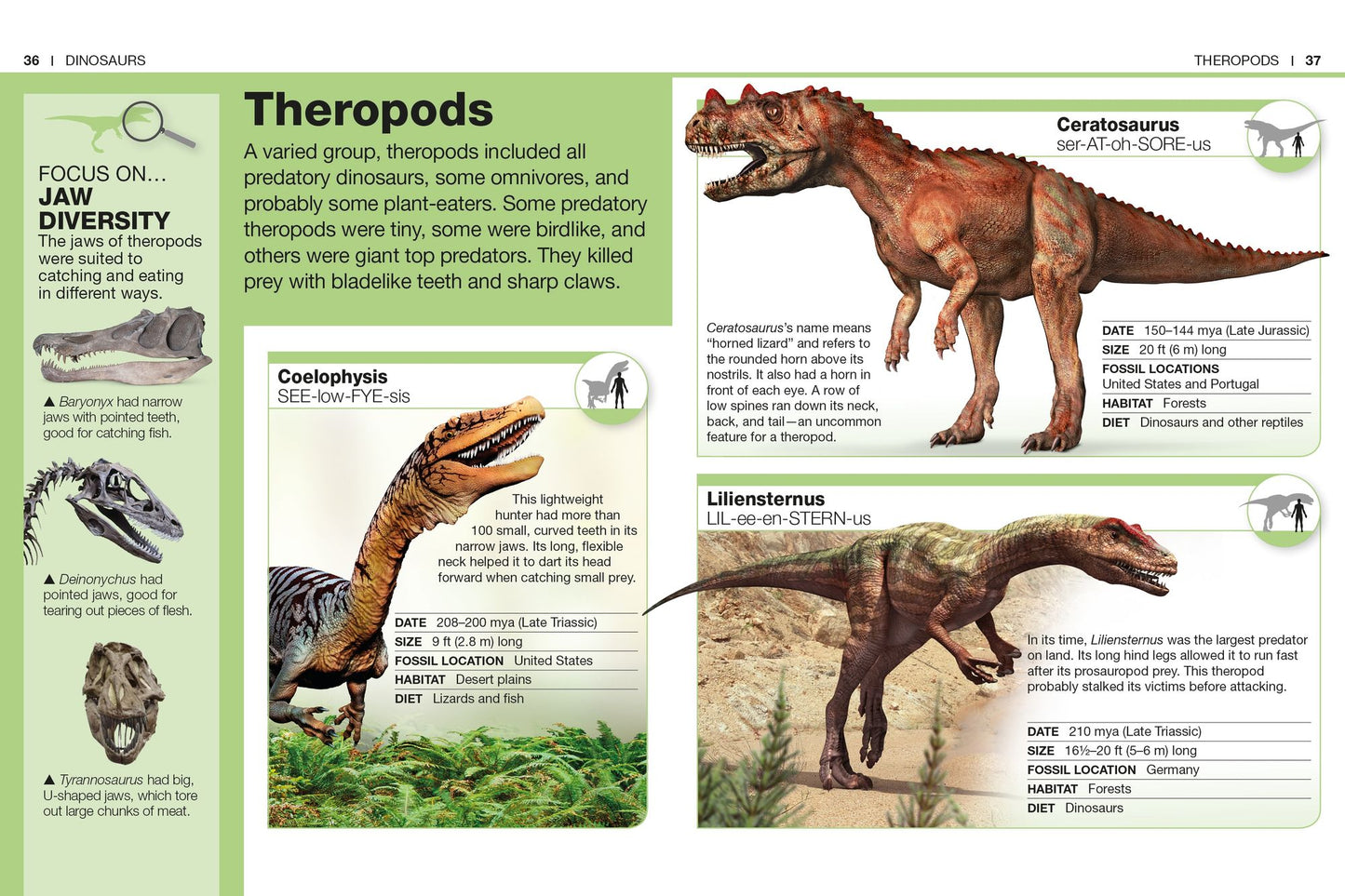 Pocket Genius: Dinosaurs: Facts at Your Fingertips
