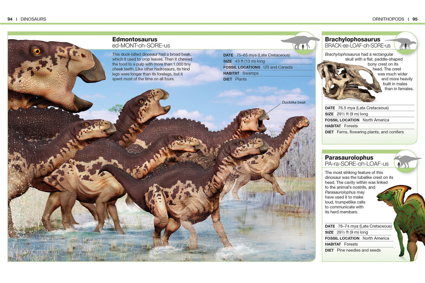 Pocket Genius: Dinosaurs: Facts at Your Fingertips