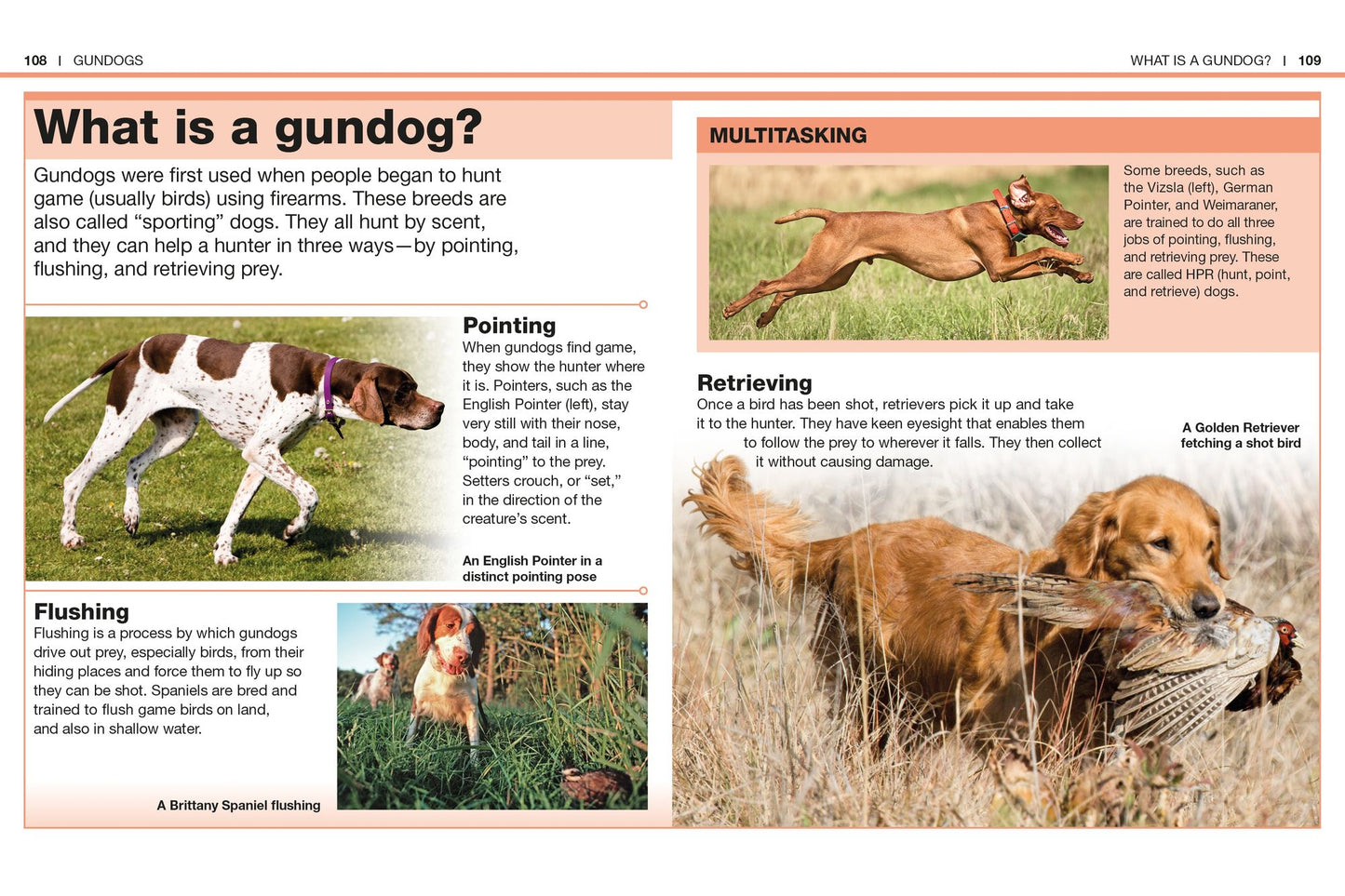 Pocket Genius: Dogs