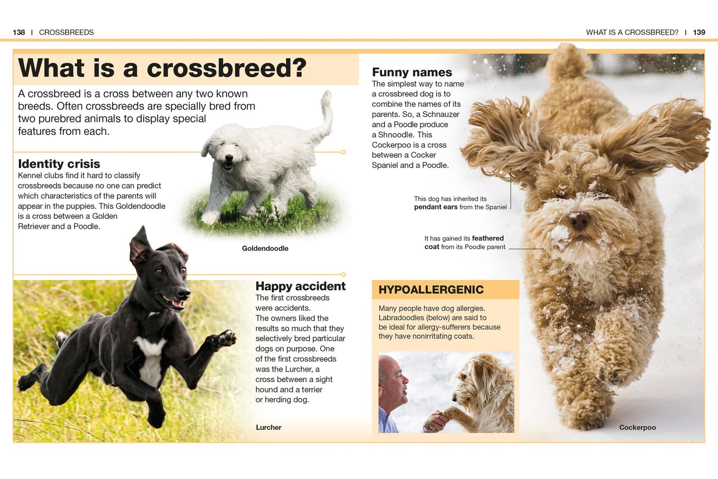Pocket Genius: Dogs