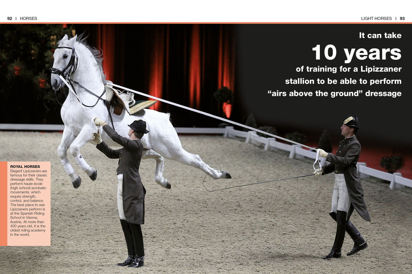 Pocket Genius: Horses