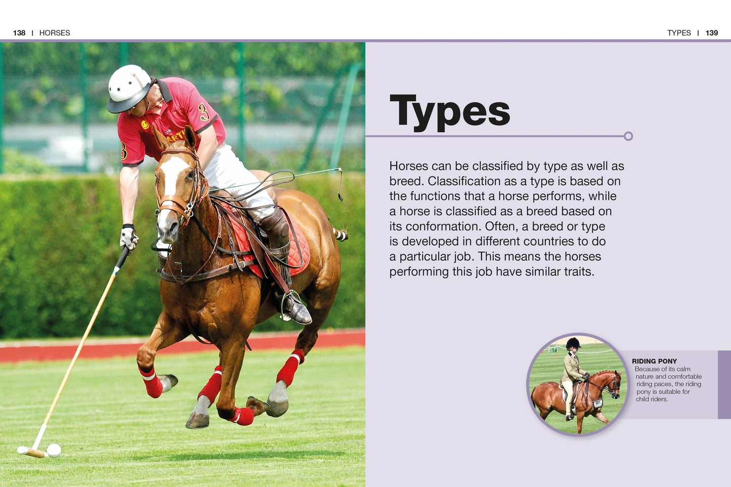 Pocket Genius: Horses