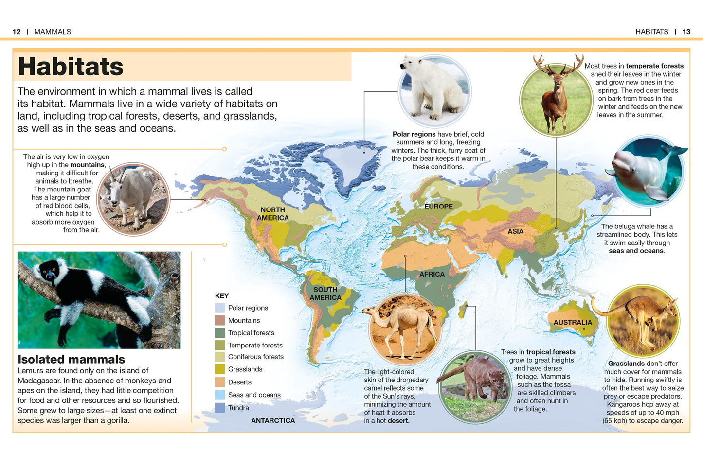 Pocket Genius: Mammals