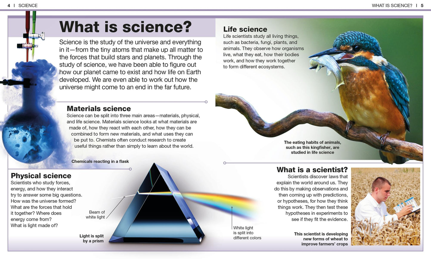Pocket Genius: Science: Facts at Your Fingertips