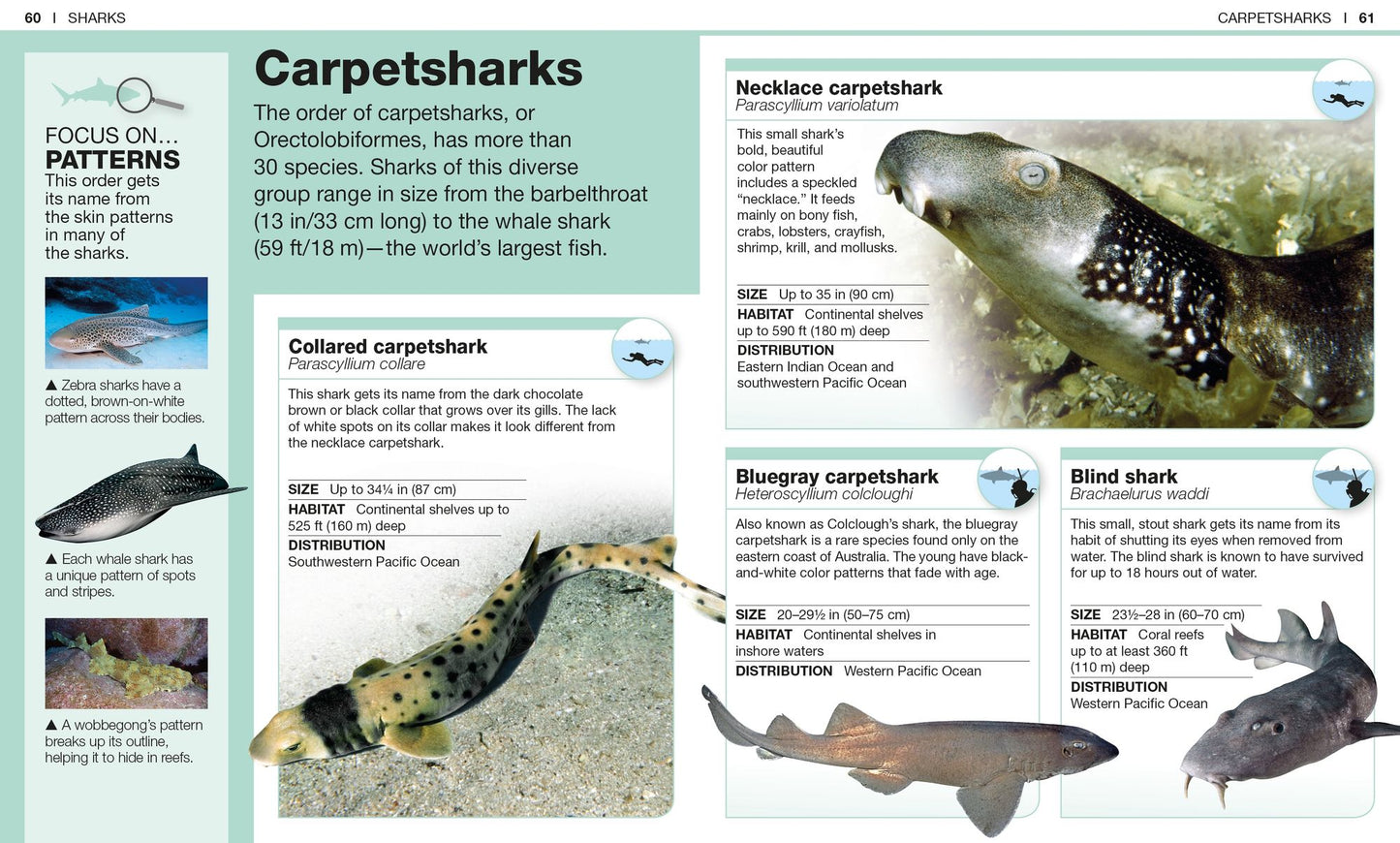 Pocket Genius: Sharks