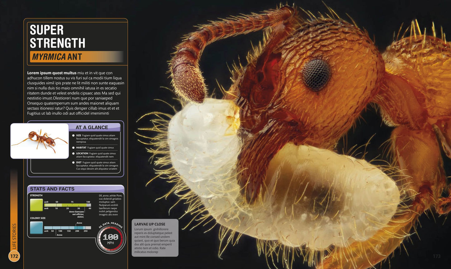 Super Bug Encyclopedia