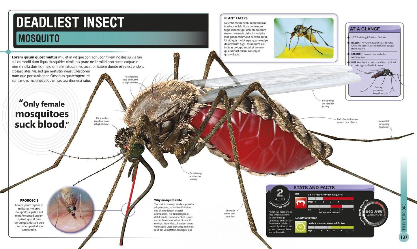 Super Bug Encyclopedia