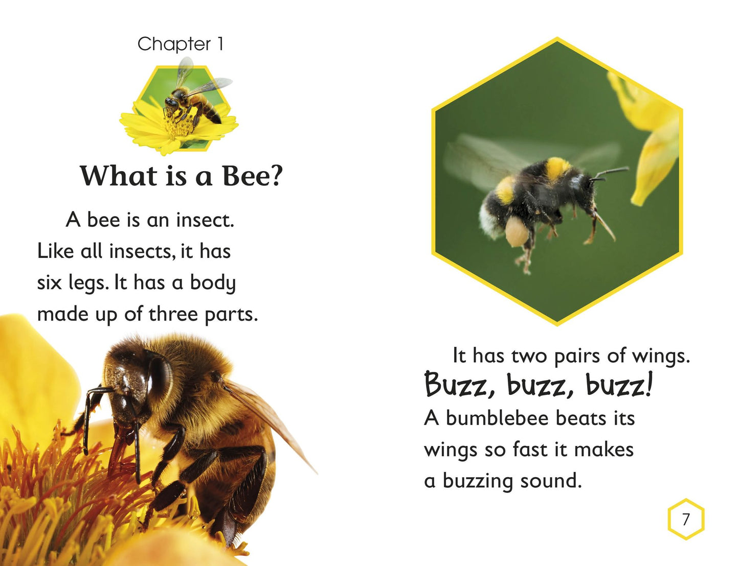 Amazing Bees (DK Readers Level 2 Series)