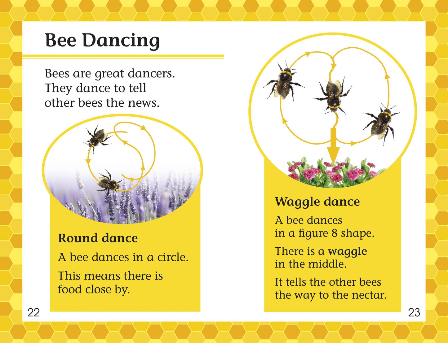 Amazing Bees (DK Readers Level 2 Series)