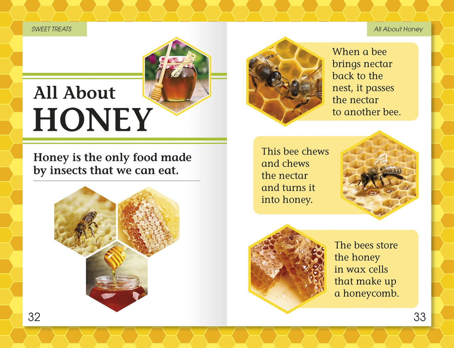 Amazing Bees (DK Readers Level 2 Series)