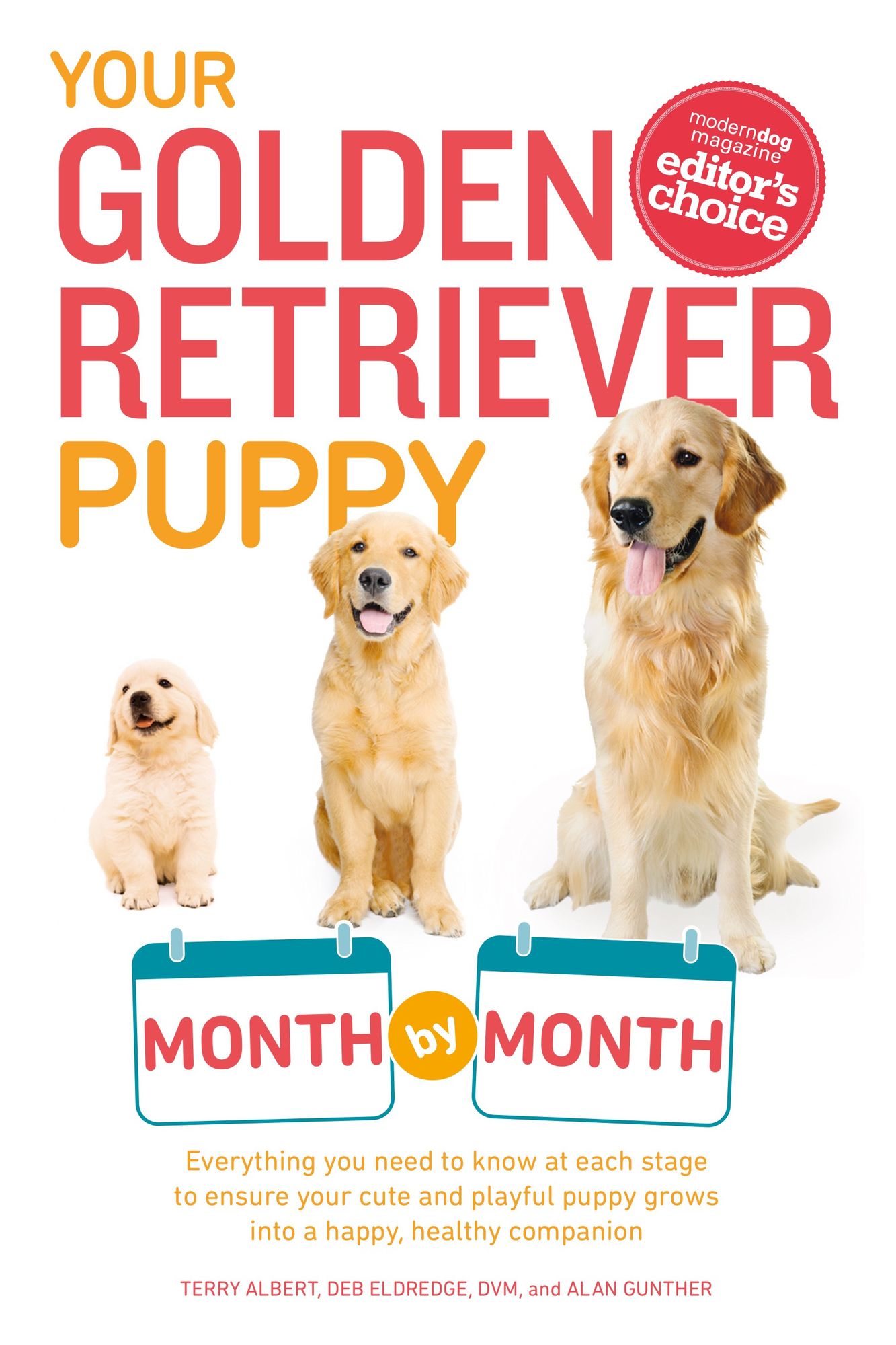 Your Golden Retriever Puppy Month by Month: Everything You Need to Know at Each Stage to Ensure Your Cute and Playful Puppy Grows into a Happy, Healthy Companion
