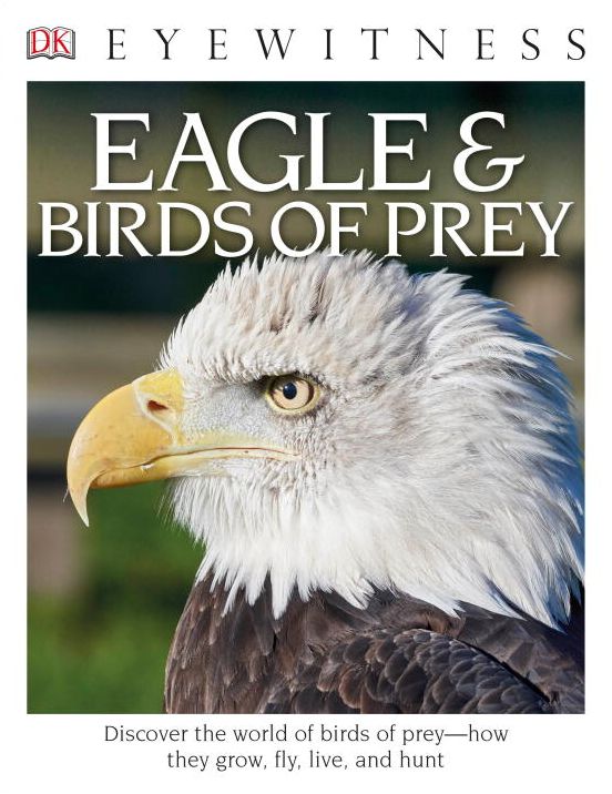Eagle & Birds of Prey (DK Eyewitness Books Series)