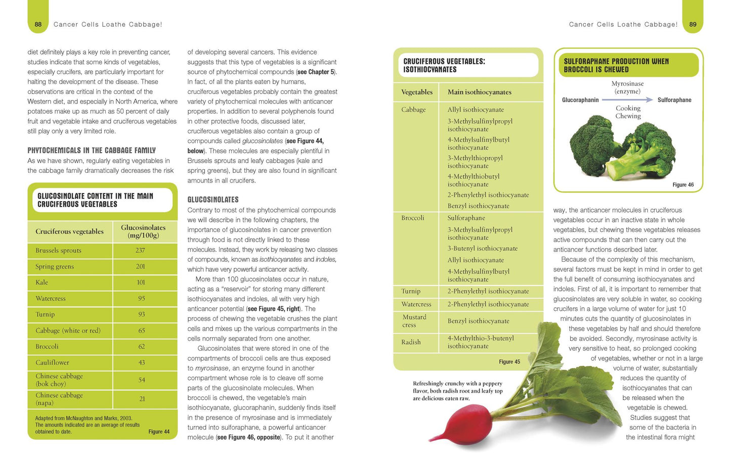 Foods to Fight Cancer: What to Eat to Reduce Your Risk