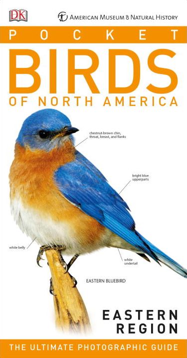 American Museum of Natural History: Pocket Birds of North America, Eastern Region