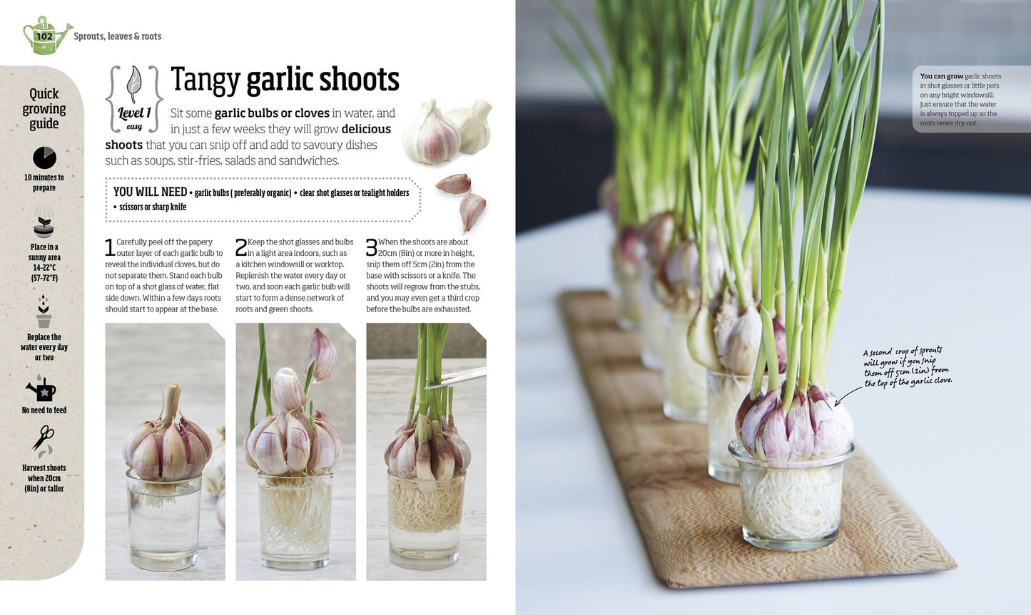 Indoor Edible Garden: Creative Ways to Grow Herbs, Fruits, and Vegetables in Your Home