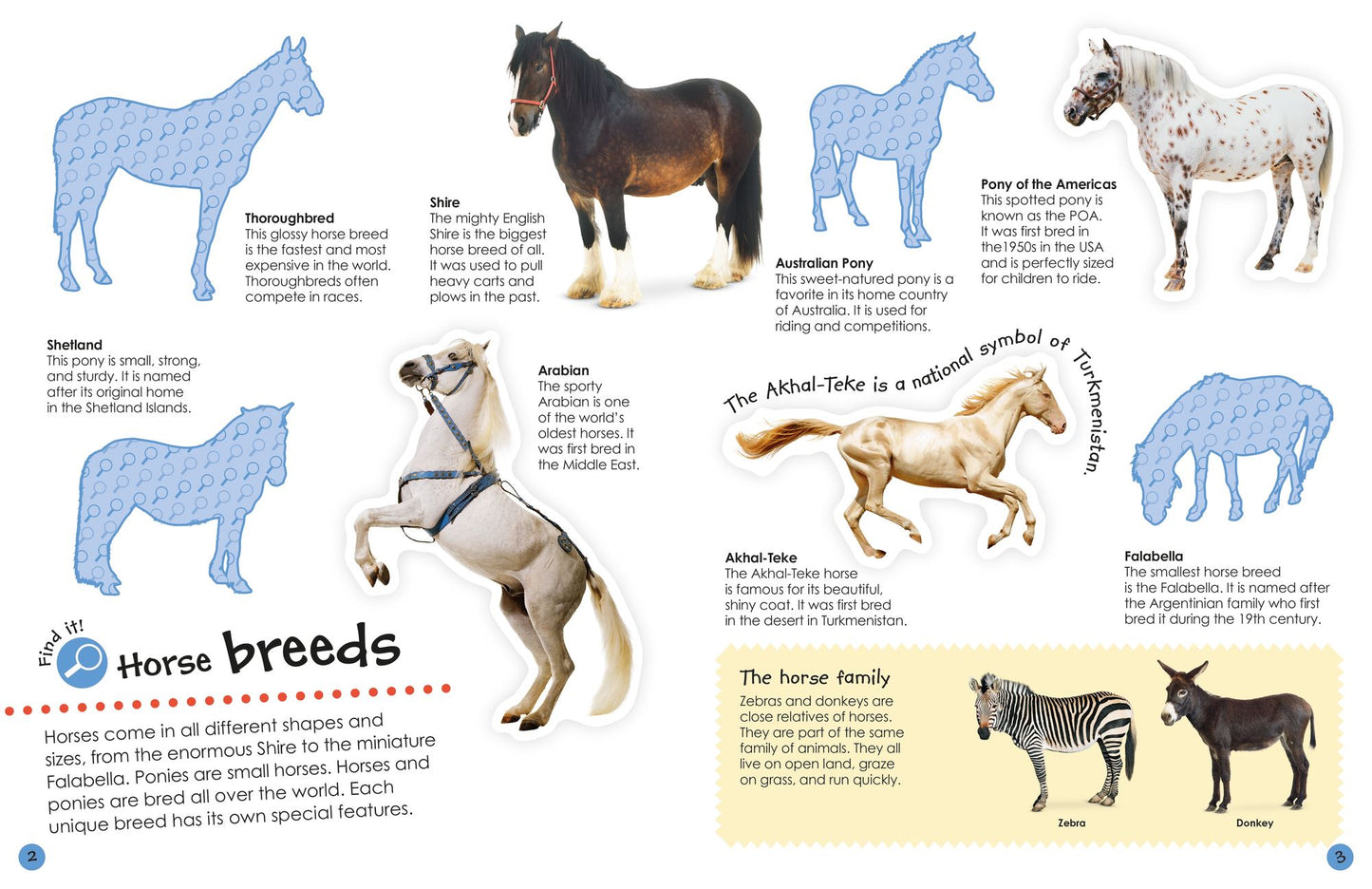 Ultimate Sticker Book: Horses and Ponies