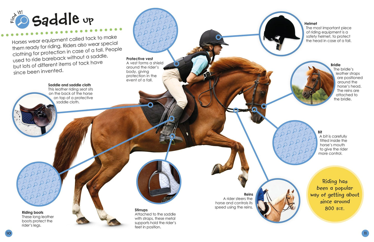 Ultimate Sticker Book: Horses and Ponies