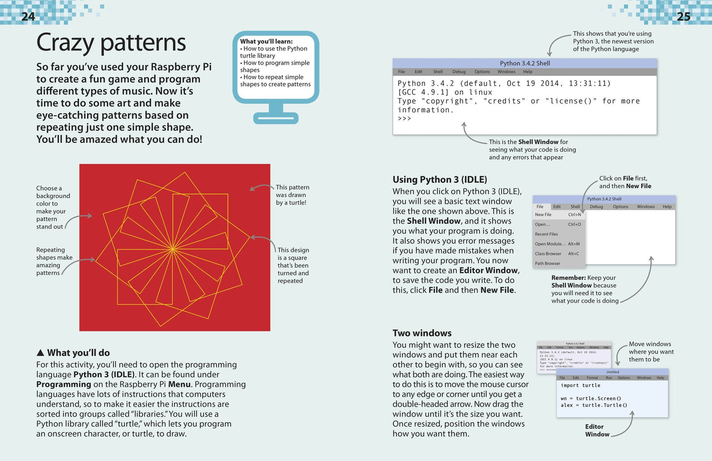 DK Workbooks: Raspberry Pi Projects Workbook
