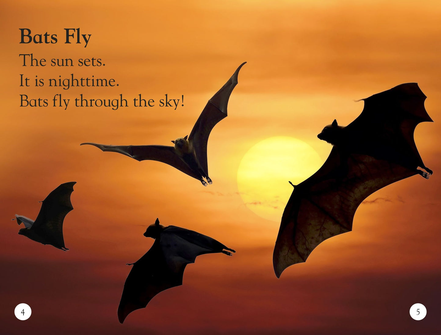 All About Bats: Explore the World of Bats! (DK Readers Level 1 Series)