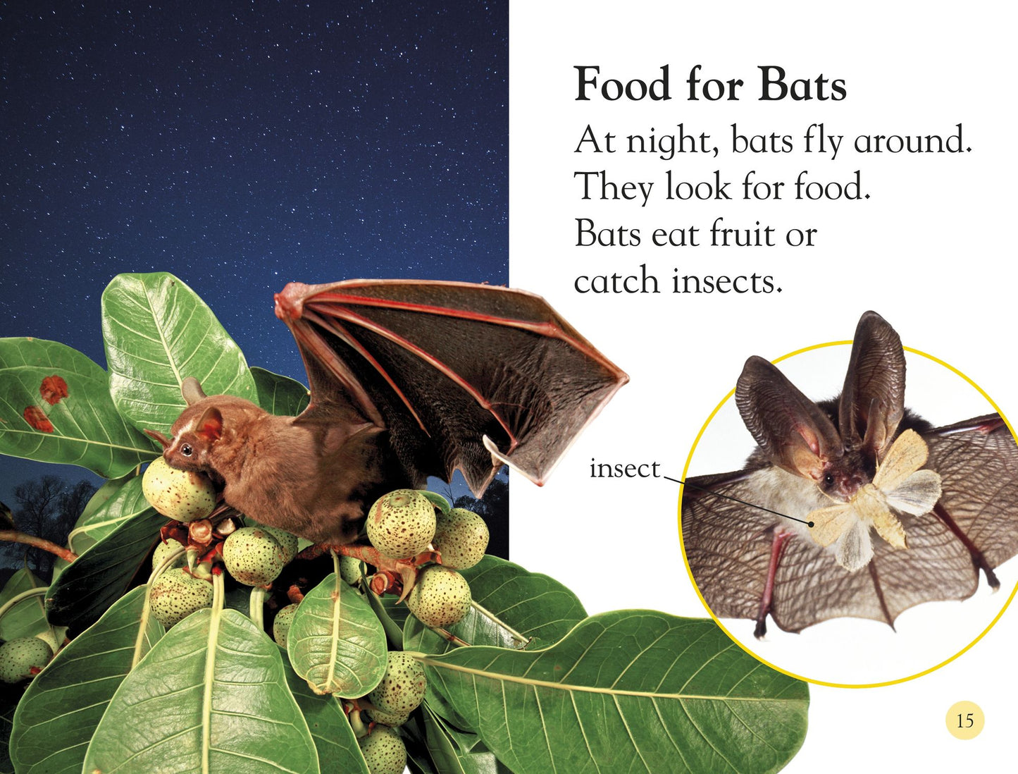 All About Bats: Explore the World of Bats! (DK Readers Level 1 Series)