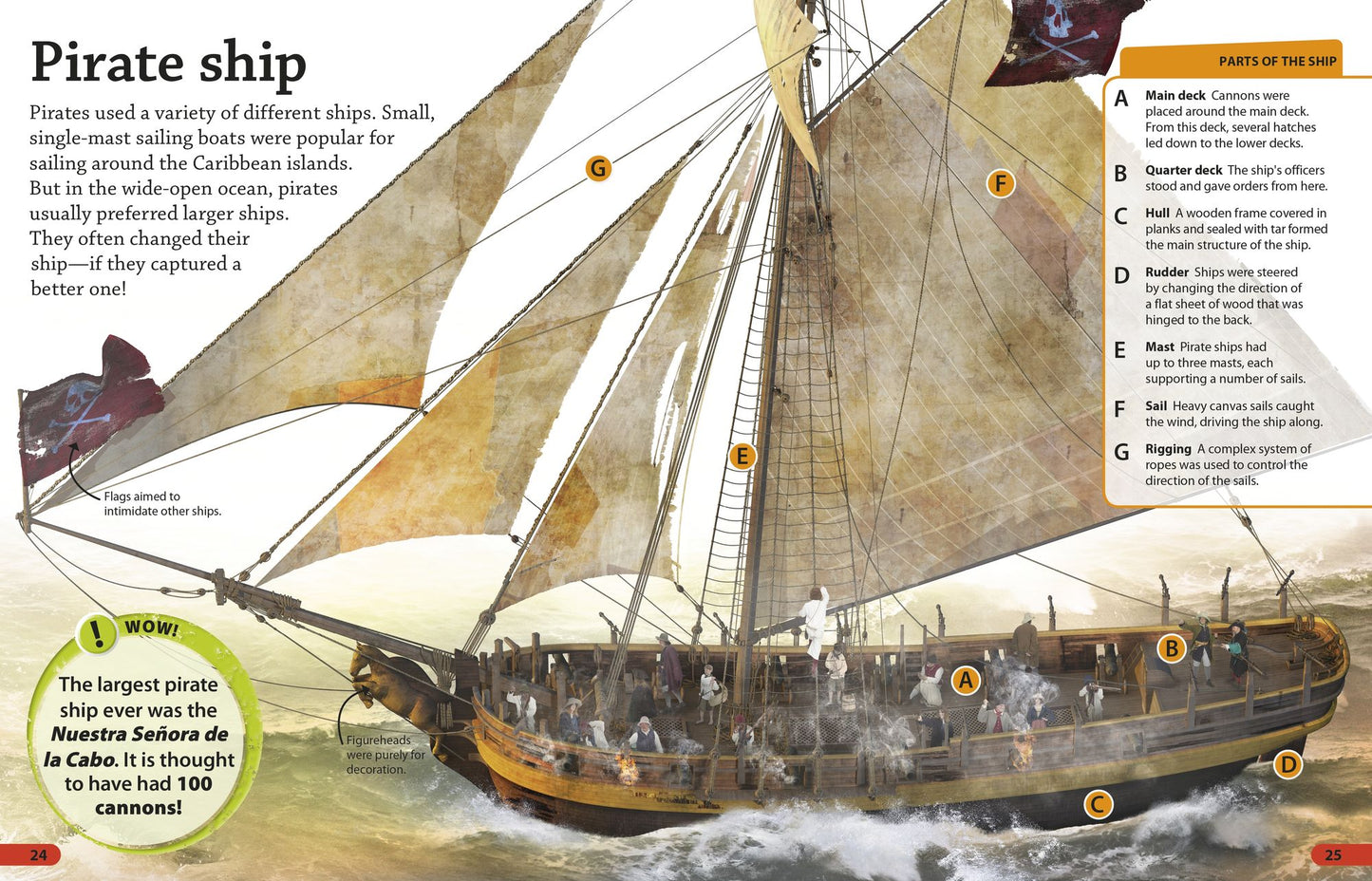 DK findout! Pirates