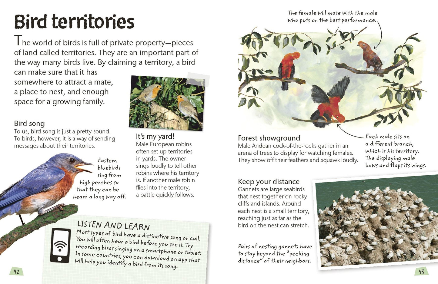 Birds: Explore the world of our feathered friends