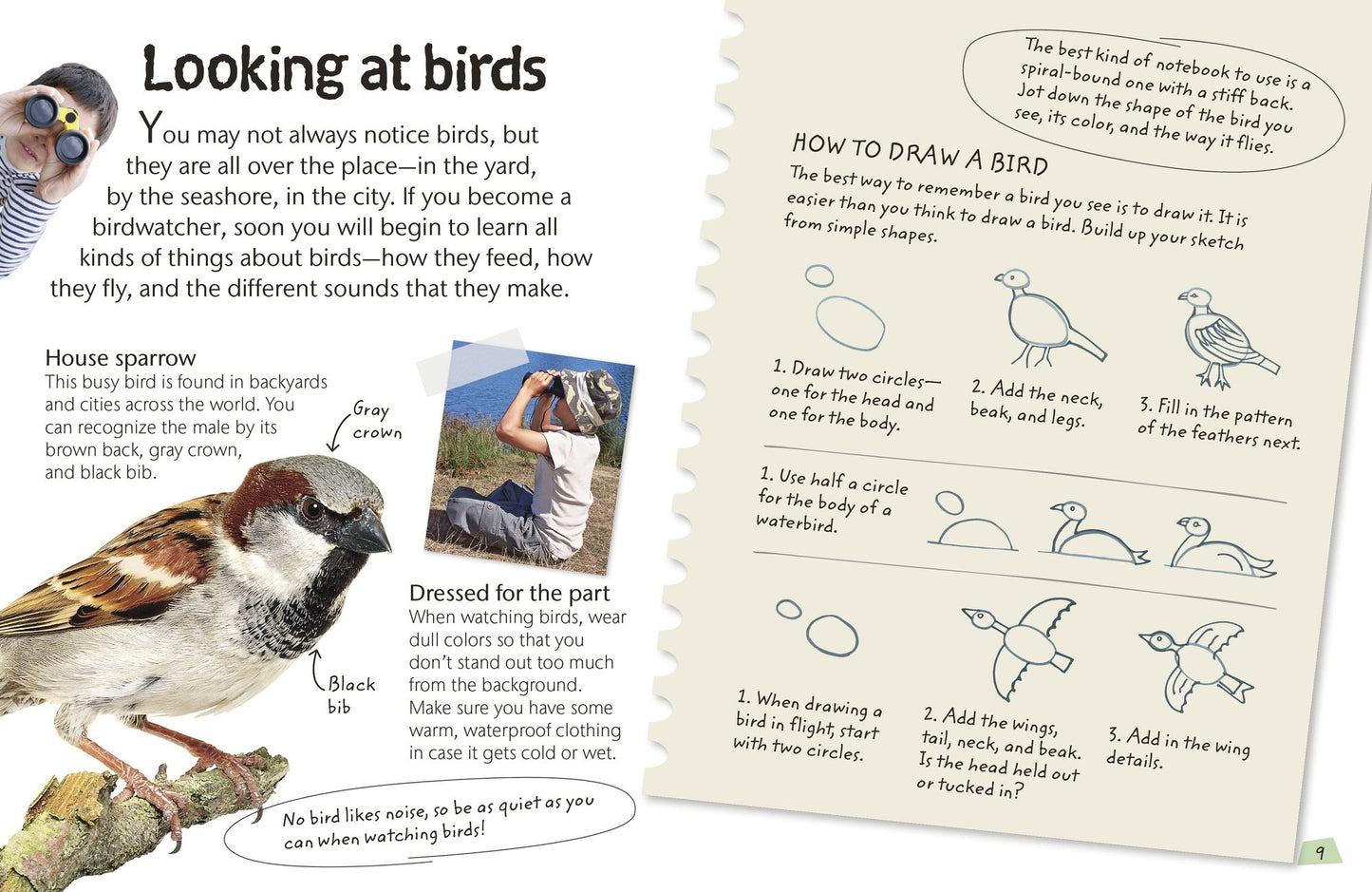 Birds: Explore the world of our feathered friends