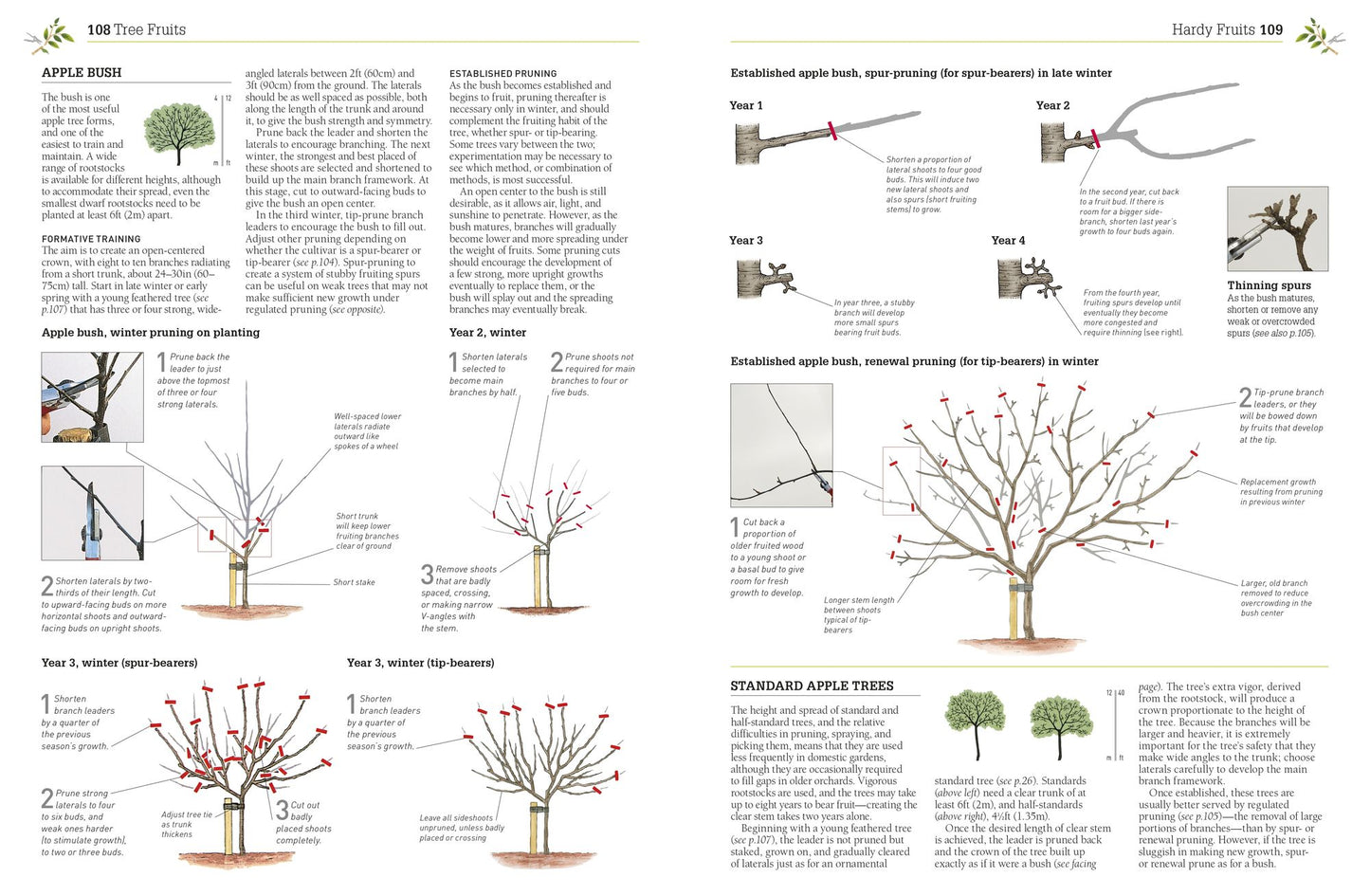 Pruning and Training, Revised New Edition: What, When, and How to Prune