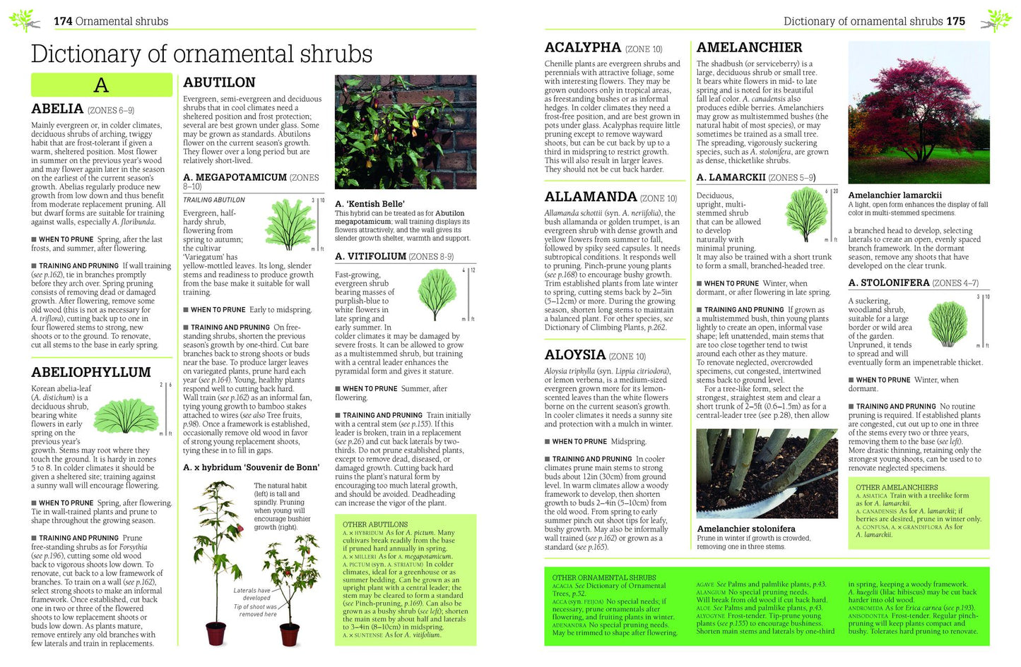 Pruning and Training, Revised New Edition: What, When, and How to Prune