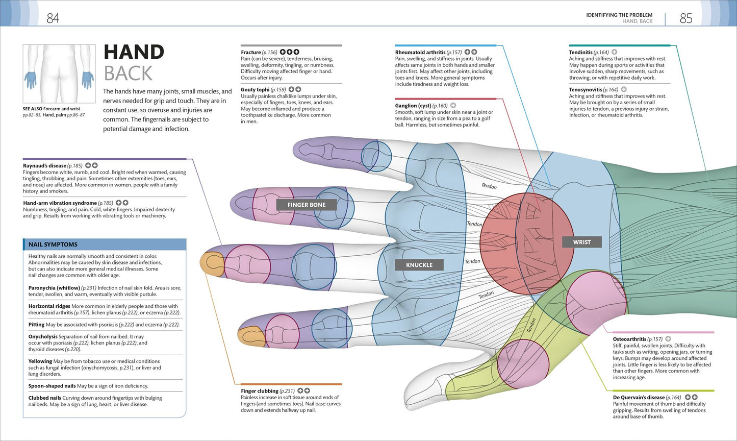 Medical Symptoms: A Visual Guide: The Easy Way to Identify Medical Problems