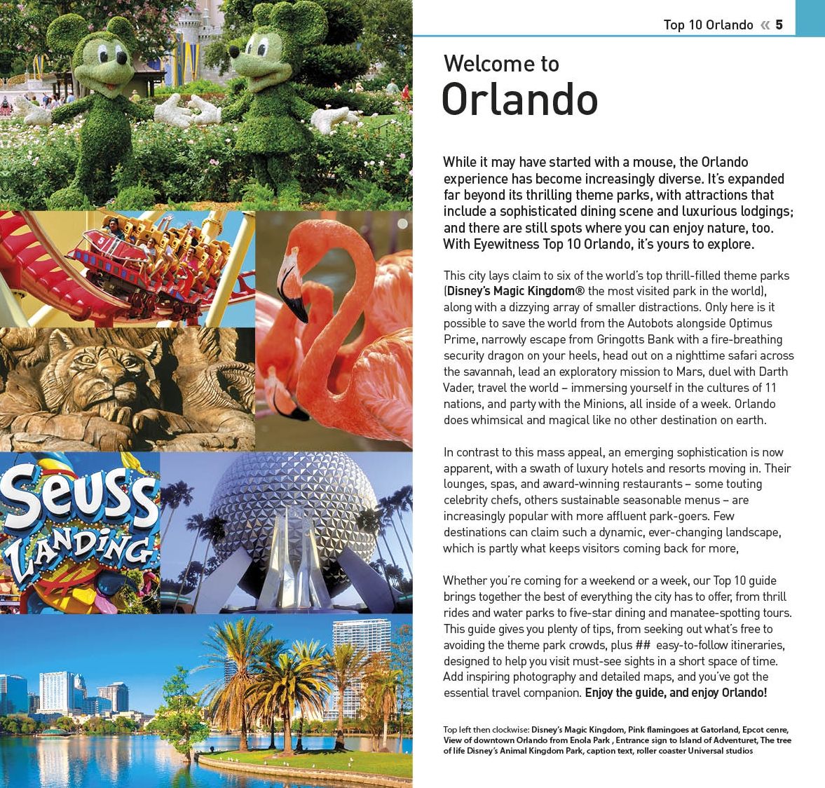 Top 10 Orlando