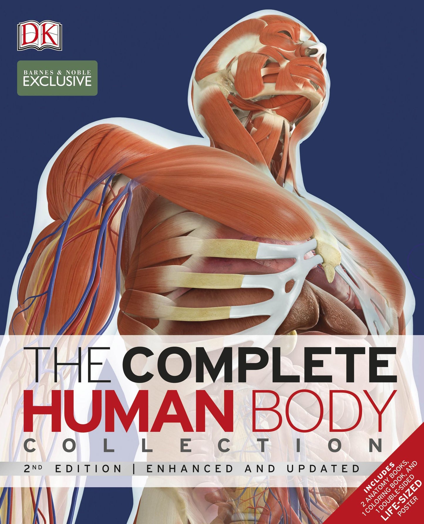 Complete Human Body Collection