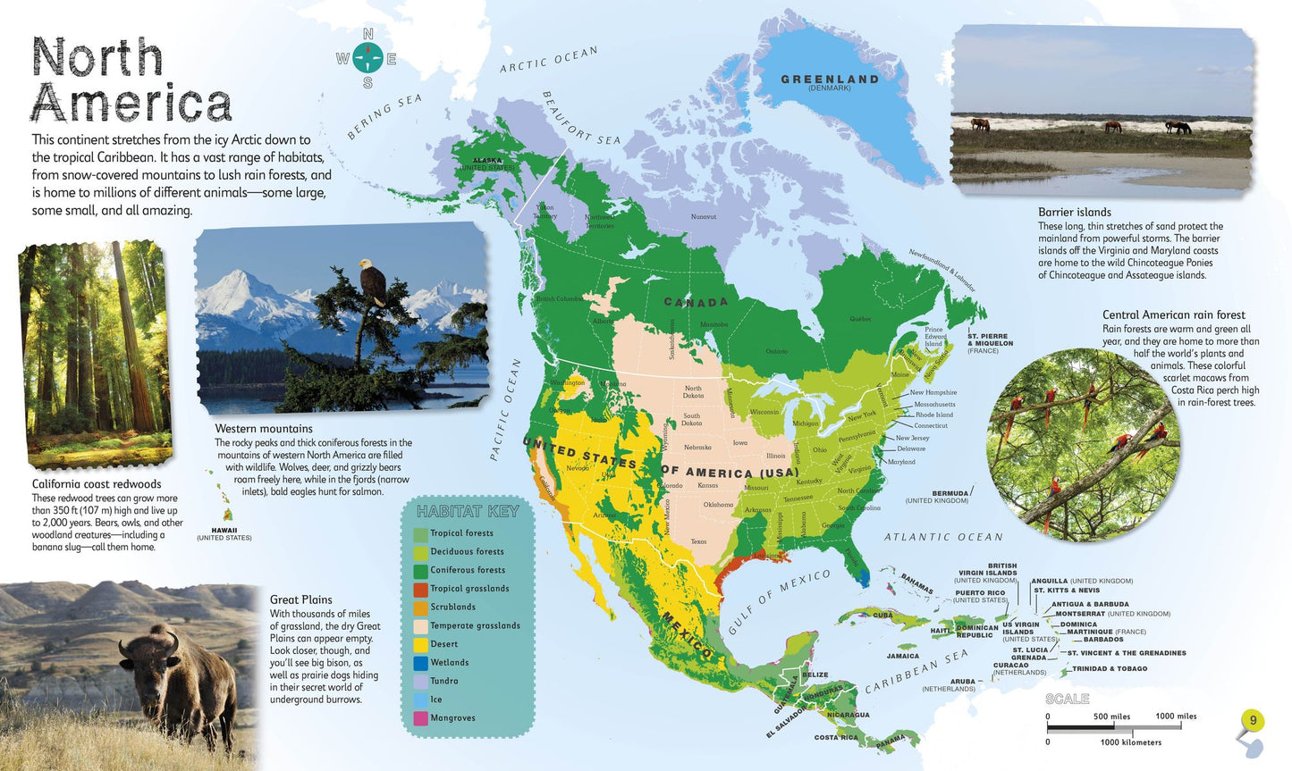 Children's Illustrated Animal Atlas