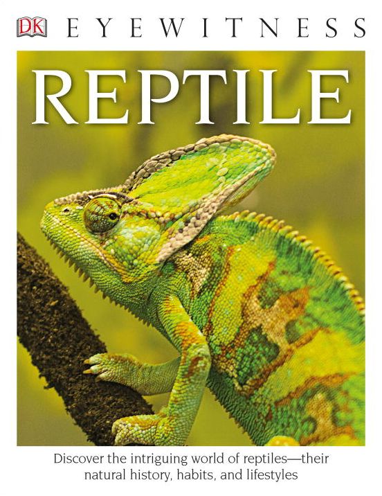 Reptile (DK Eyewitness Books Series0